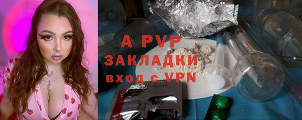 прущие грибы Киреевск