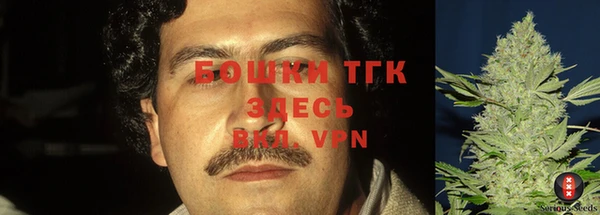 прущие грибы Киреевск