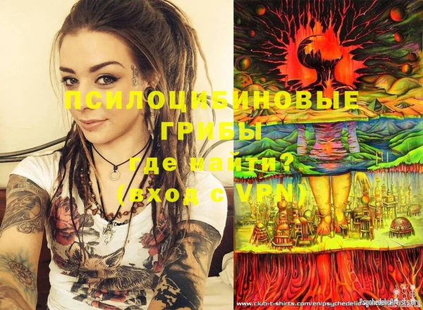 молекула духа Кинешма