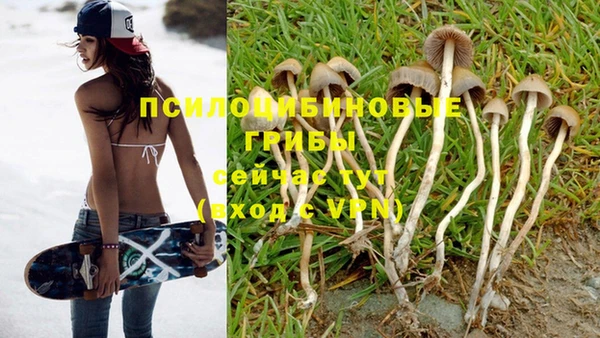 молекула духа Кинешма