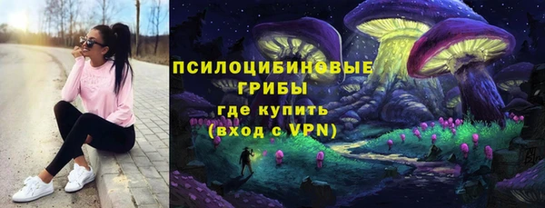 молекула духа Кинешма