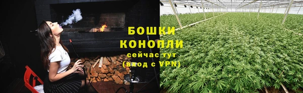 молекула духа Кинешма