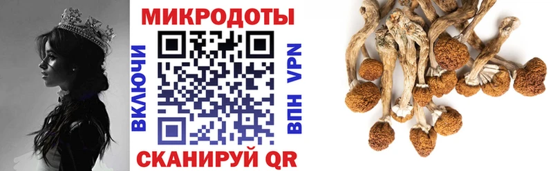 Галлюциногенные грибы MAGIC MUSHROOMS  Купить закладки  Североуральск 